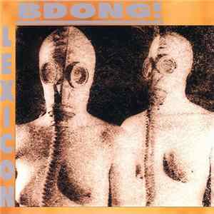 BDONG! - Lexicon FLAC
