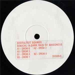 Senical - A Dark Raid Of Madness FLAC