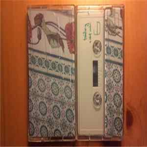 Trailing - A Silent Venture FLAC