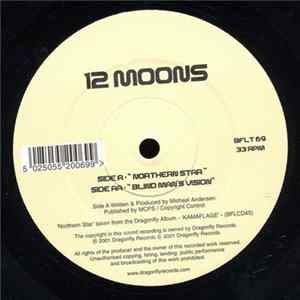 12 Moons - Northern Star / Blind Man's Vision FLAC