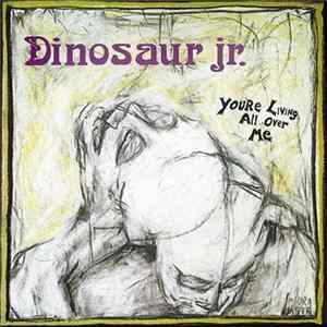 Dinosaur Jr. - You're Living All Over Me FLAC