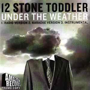 12 Stone Toddler - Under The Weather FLAC