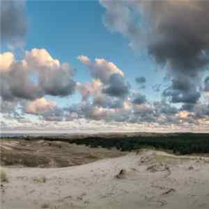 Paulius Kilbauskas - Live At Nida Art Colony FLAC