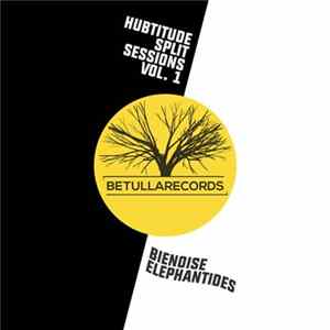 Elephantides, Bienoise - Hubtitude Sessions vol. 1 FLAC