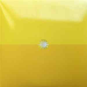 Gustavo Cerati - Amor Amarillo FLAC