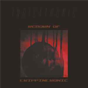 Indicatronic - Reborn Of Trippintronic FLAC