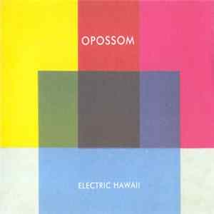 Opossom - Electric Hawaii FLAC