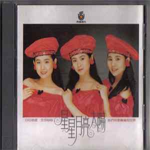 星星月亮太陽 - 我有自己的路走 FLAC