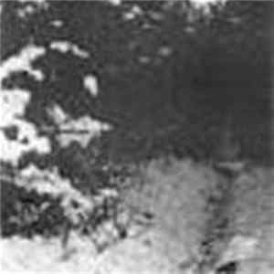 Forest Silence - The 3rd Winter FLAC