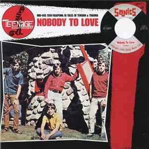 Various - Nobody To Love (Mid-60's Teen Folkpunk: 18 Tales Of Tension & Trauma) FLAC
