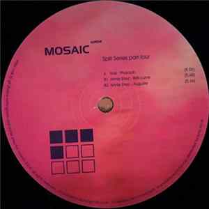 Nail / Annie Errez - Split Series Part Four FLAC