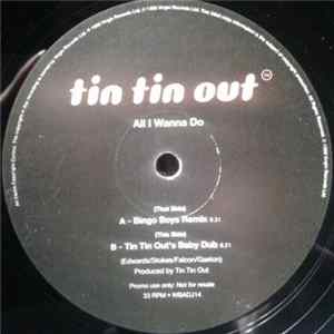 Tin Tin Out - All I Wanna Do FLAC
