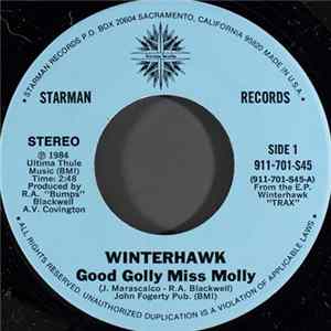 Winterhawk - Good Golly Miss Molly / Rock And Roll Soldier FLAC