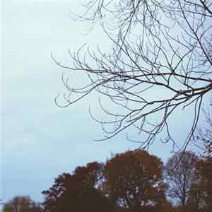 SineRider - Autumn Hiss FLAC