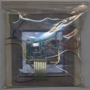Macronympha - Live-Wire In The Flesh FLAC