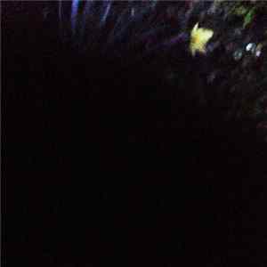 Paul Gonzenbach - Slow Fire Volumes 3 & 4 FLAC
