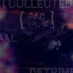 Various - Collected Aural Detriments Vol. 12 FLAC