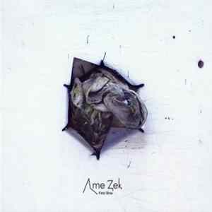 Ame Zek - First Bow FLAC