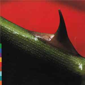 Nusrat Fateh Ali Khan & Michael Brook - Night Song FLAC