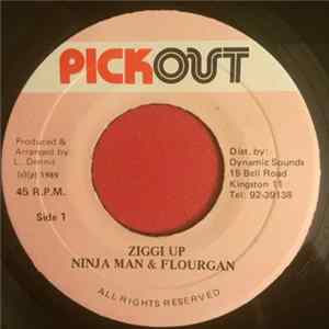 Ninja Man & Flourgon - Ziggi Up FLAC