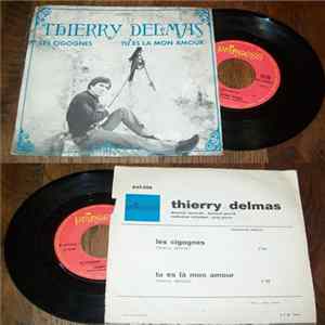 Thierry Delmas - Les Cigognes FLAC