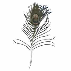 Great Peacock - Making Ghosts FLAC
