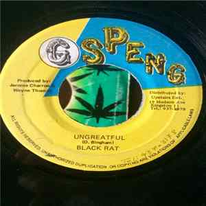 Black Rat - Ungreatful FLAC