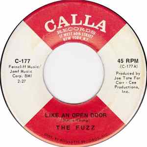 The Fuzz - Like An Open Door / Leave It All Behind Me FLAC