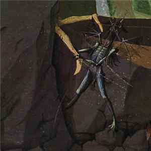 Danava - Hemisphere Of Shadows FLAC
