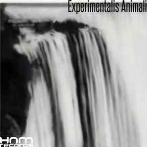 Experimentalis Animali - Legal Torture FLAC