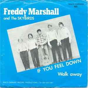 Freddy Marshall And The Skybirds - If You Feel Down FLAC