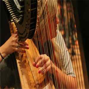 Chris Forsyth, Mary Lattimore , & Jeff Zeigler - 8/22/2013 FLAC