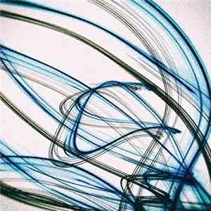 Brainfeeder - Basic Channel FLAC