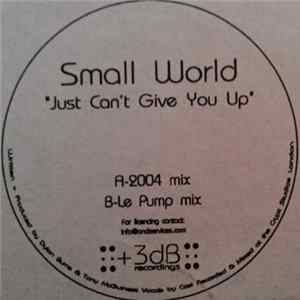 Small World - Just Can't Give You Up FLAC
