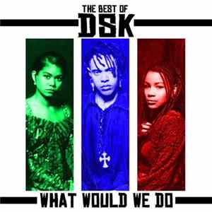 DSK - The Best Of - What Would We Do FLAC