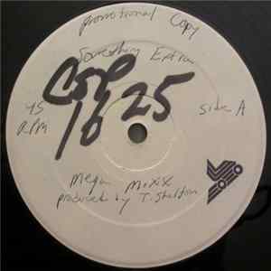 Something Extra - Mega Mixx FLAC