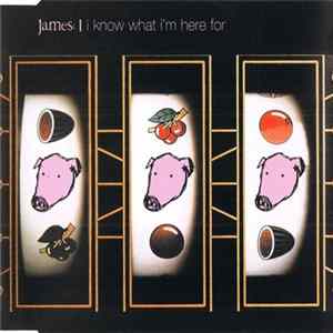 James - I Know What I'm Here For FLAC