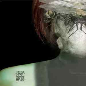 Horse Gives Birth To Fly - Nerd Velocity FLAC