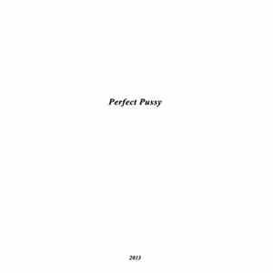 Perfect Pussy - I Have Lost All Desire For Feeling FLAC