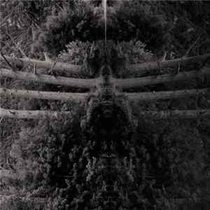 Membrane - Reflect Your Pain FLAC