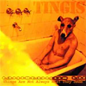 Tingis - Things Are Not Always What They Seem FLAC