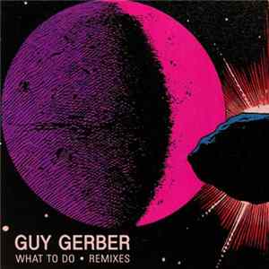 Guy Gerber - What To Do (Remixes) FLAC