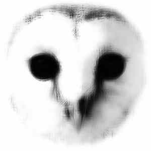 Robert Dietz, Burnski - The Wisdom Of Crowds EP FLAC