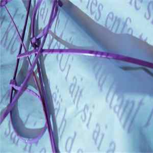 Alexandre St-Onge - NommeBeurre µ La lubrification du verbe Les vies innombrables des Ties Wraps FLAC