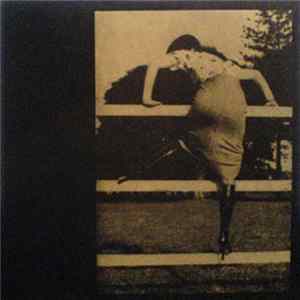Aaron Dilloway / The Cherry Point - Fencing FLAC