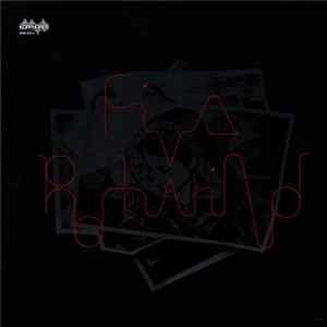 Fiva - Rotwild FLAC