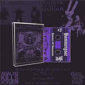 Hammergoat / Sadistik Goathammer - Ritual Of Nekro Penetration FLAC