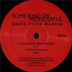 David Tyler Martin - Some Kind Of Wonderful FLAC