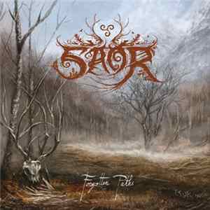 Saor - Forgotten Paths FLAC