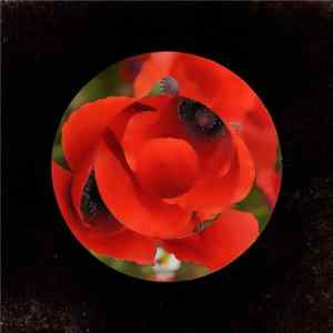 Pytto - Sweet Sunshine FLAC